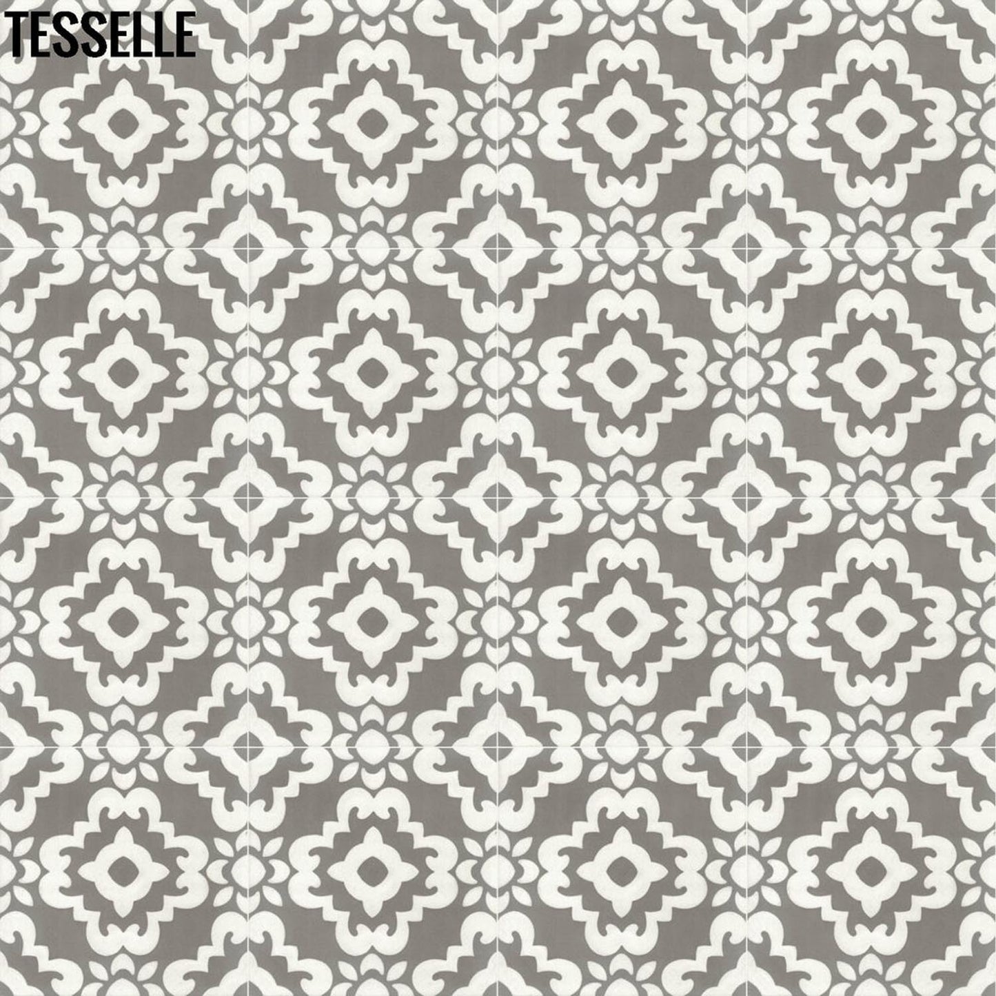 Tesselle | Kalikoe Valle 8" Square Cement Tile