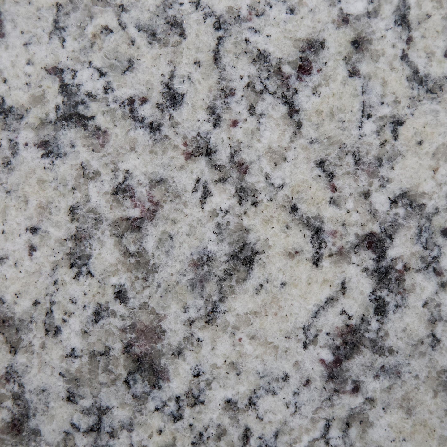 White Napoli, Sealed Stone Surface Material - Outlet stock from Cosentino.