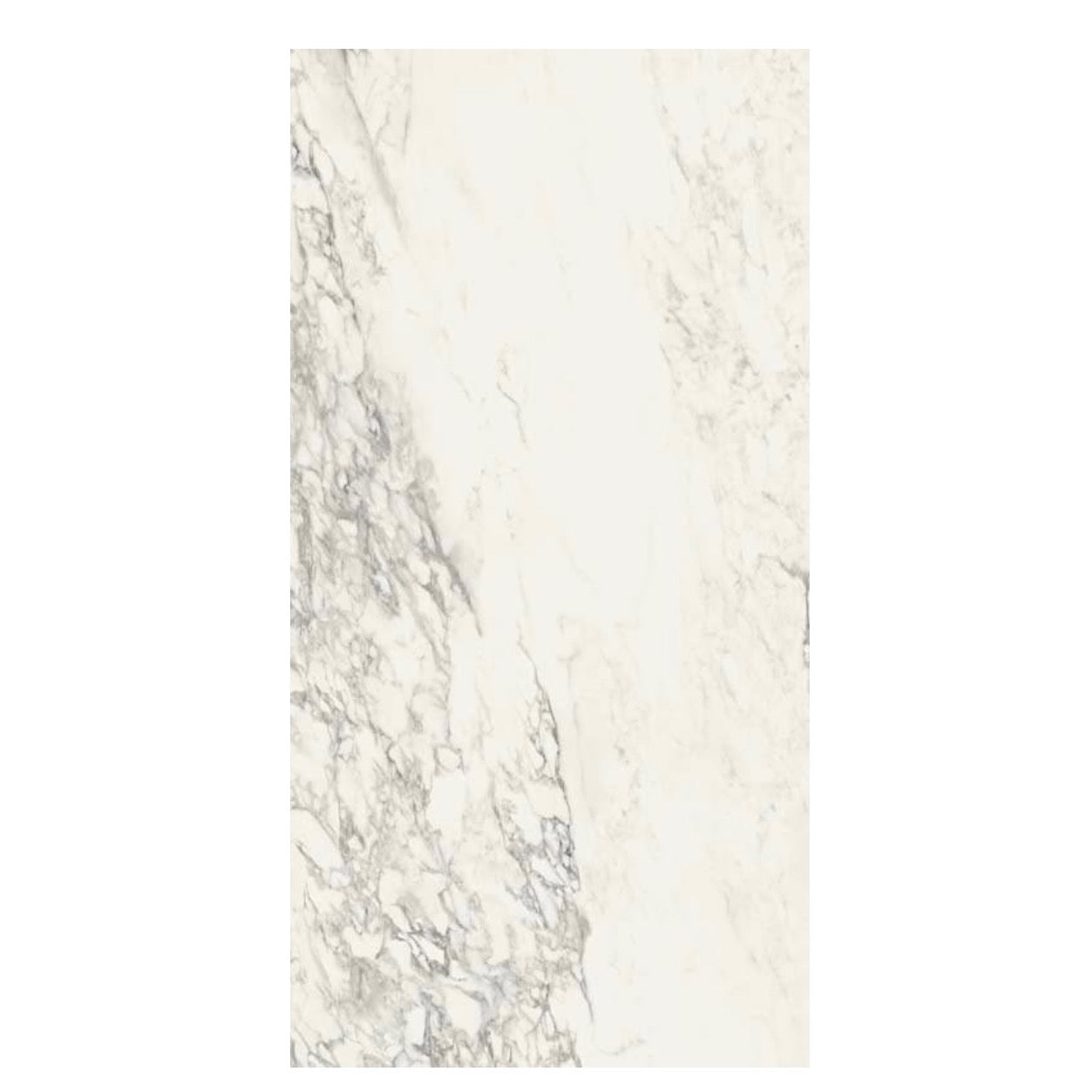 Ceramica Sant'Agostino | Tru Marmi Arabescato 24x48 Polished Tile