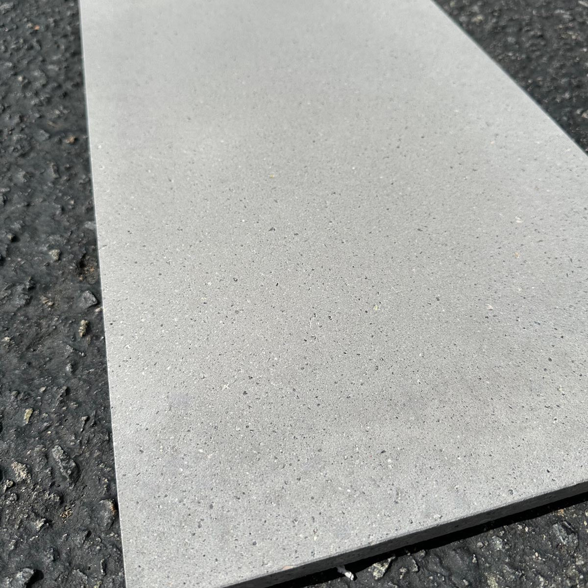 Concrete Collaborative | Trails Fossil Midgrind 12x24 Tile