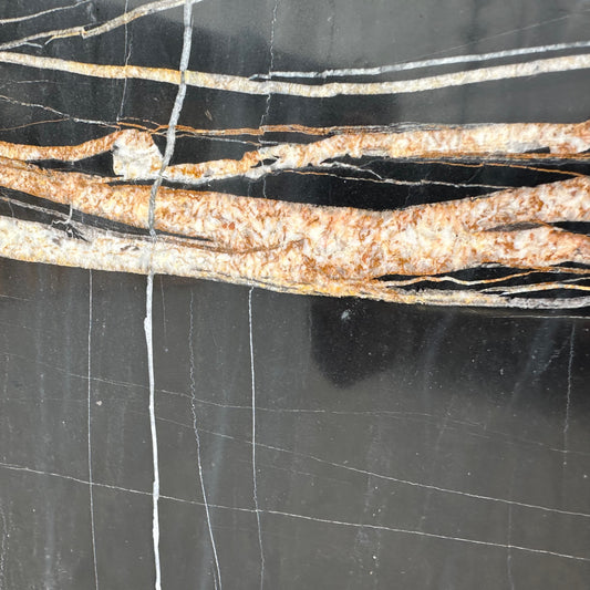 Walker Zanger | Sahara Noir Marble Polished Slab