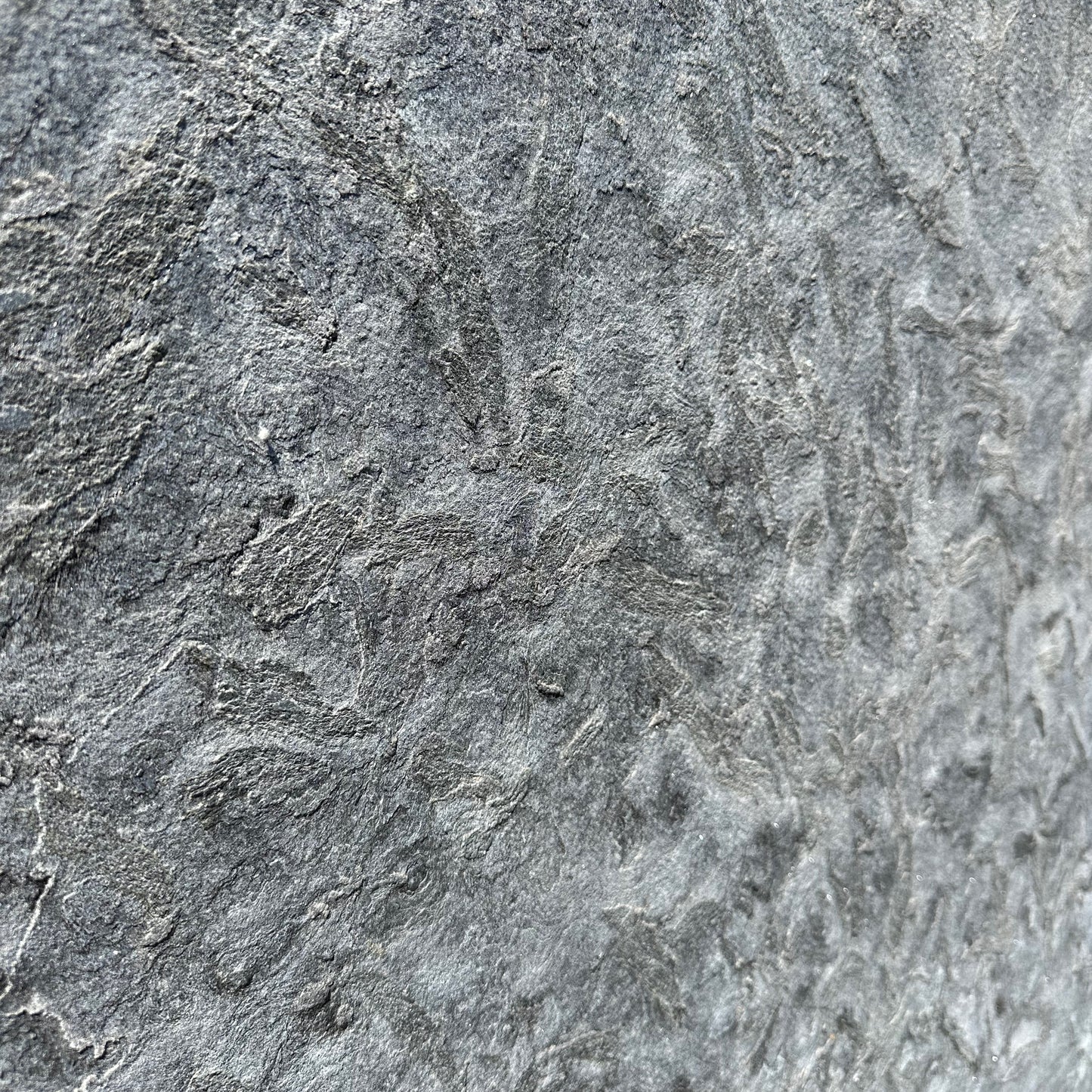 Stoneland USA | Matrix Jet 3/4 Waterjet & Flamed Granite Slab