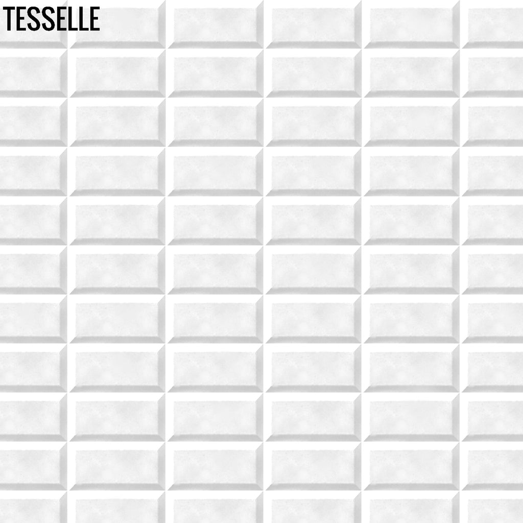 Tesselle | Sonia White 6"x3" Beveled Cement Wall Tile