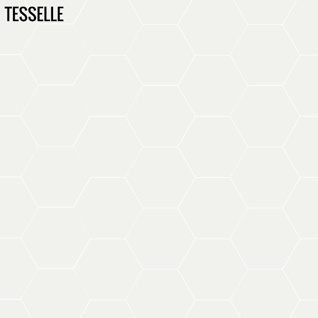 Tesselle | Concord White 7"x6" Hexagonal Cement Wall Tile