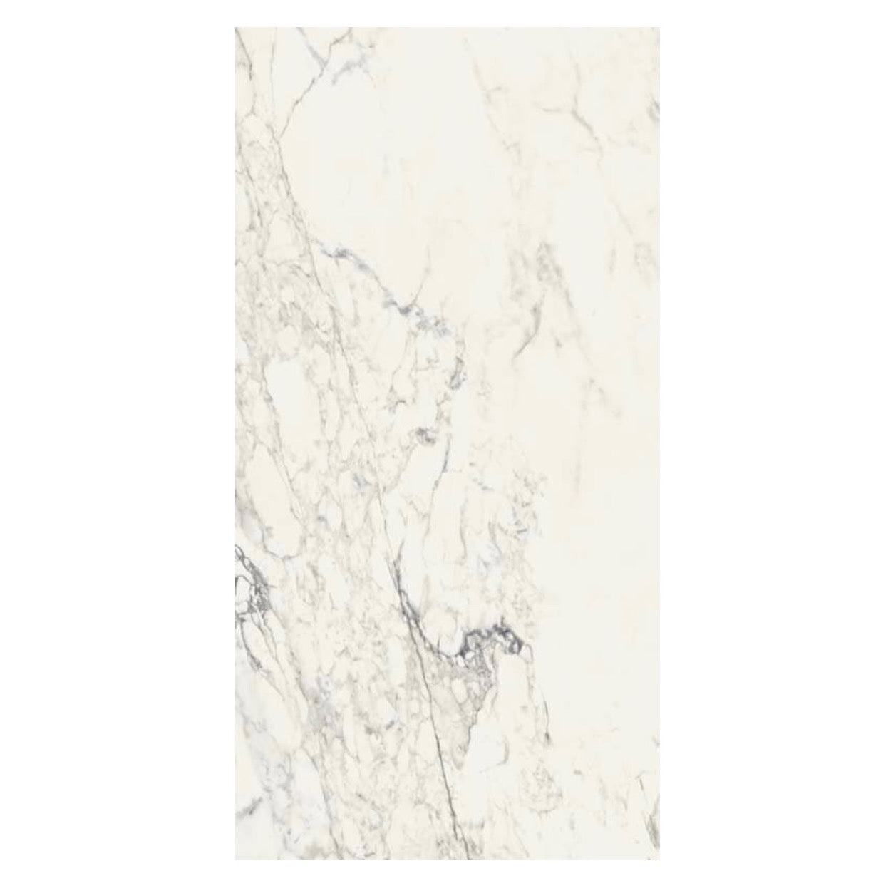 Ceramica Sant'Agostino | Tru Marmi Arabescato 24x48 Polished Tile