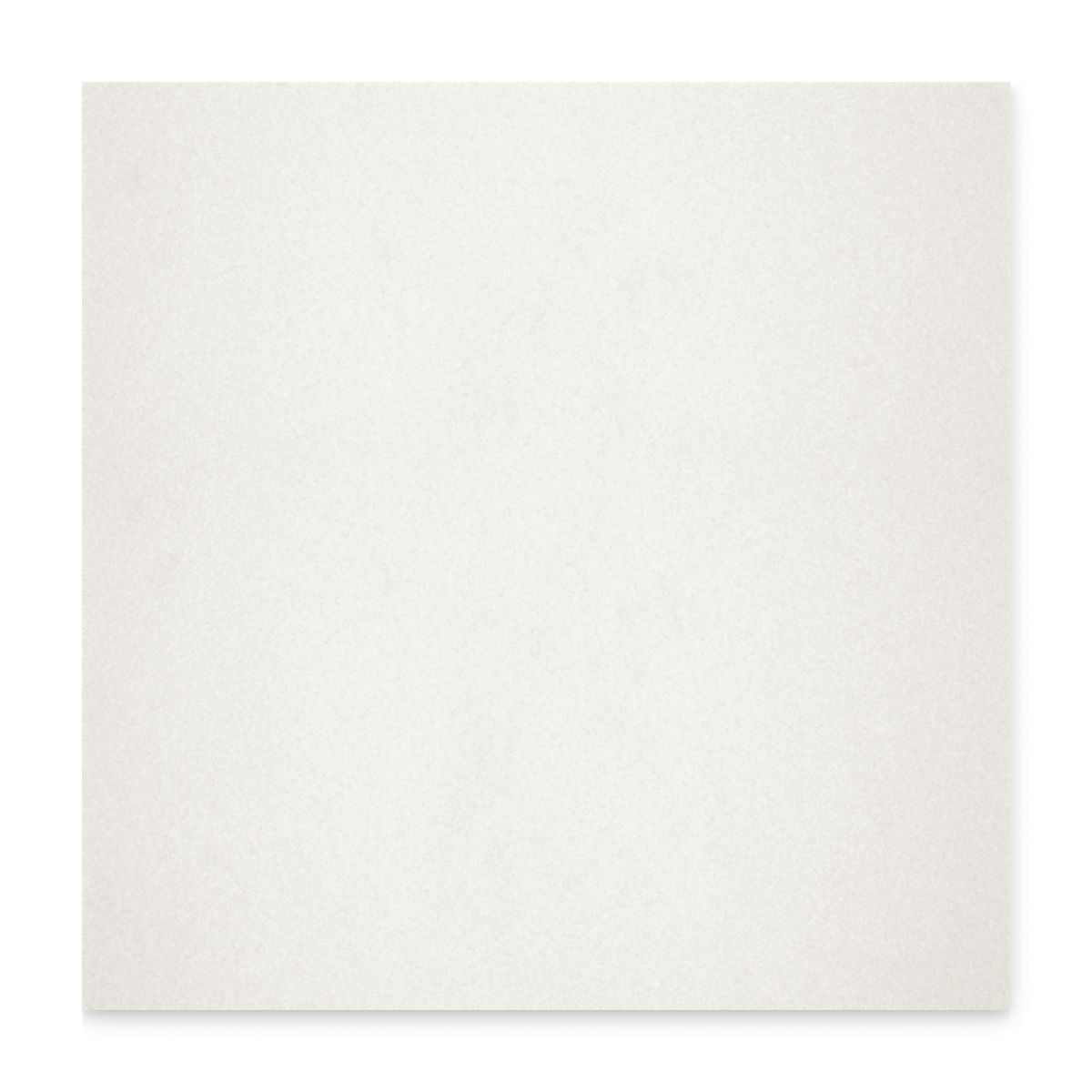 Ann Sacks | White Thassos 12" x 12" Marble Field Tile