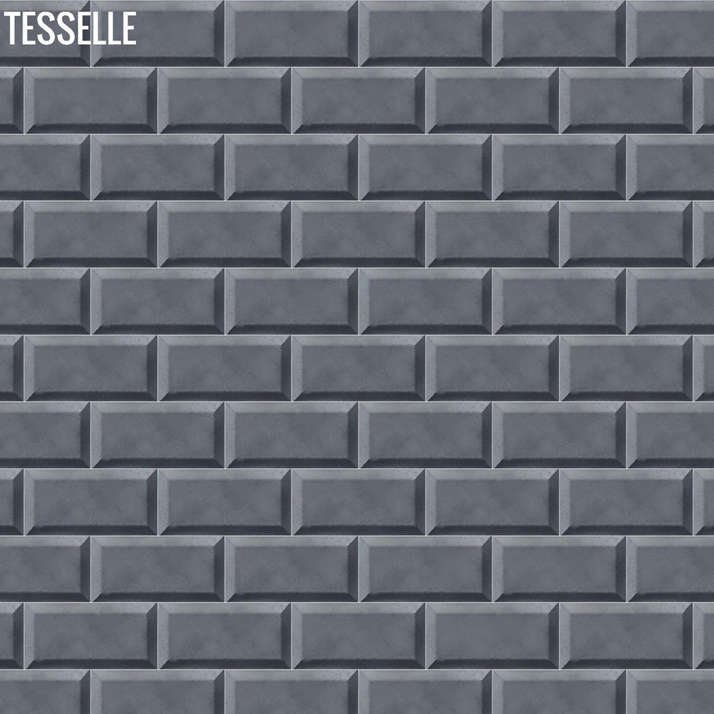 Tesselle | Sonia Graphite 6"x3" Beveled Cement Wall Tile
