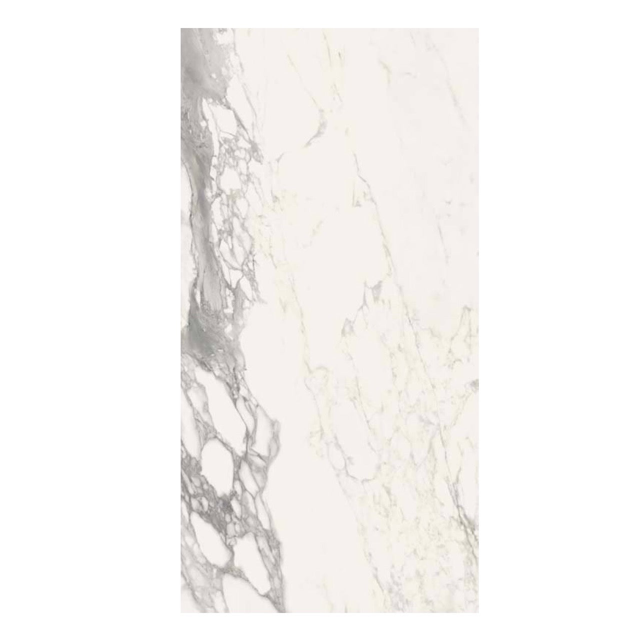 Ceramica Sant'Agostino | Tru Marmi Arabescato 24x48 Polished Tile