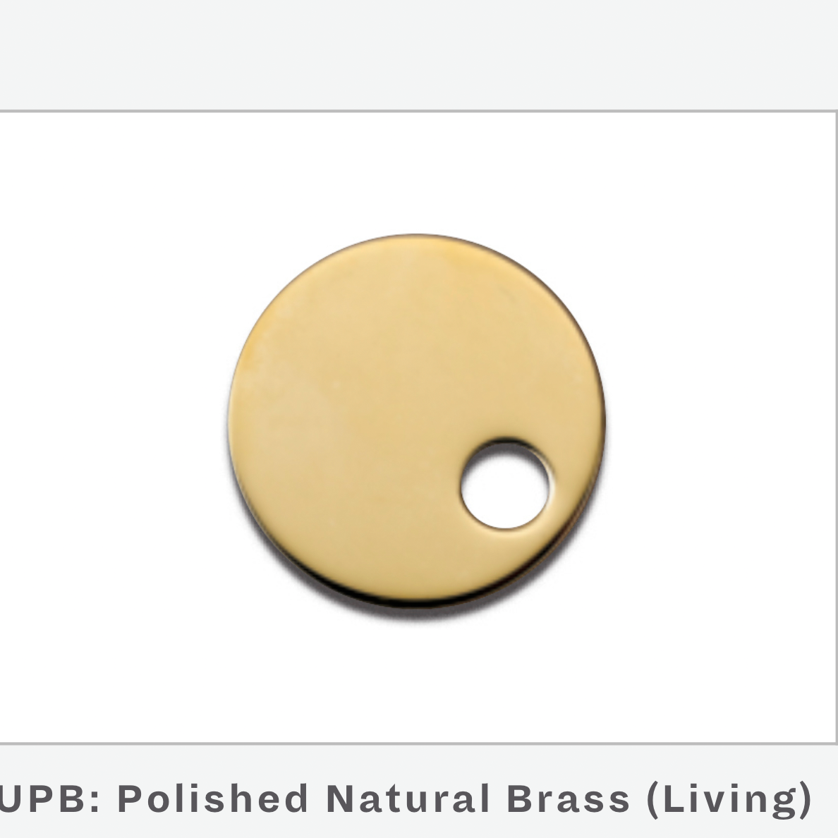 Watermark | 14” Round Antiscale Shower Head in Polished Natural Brass