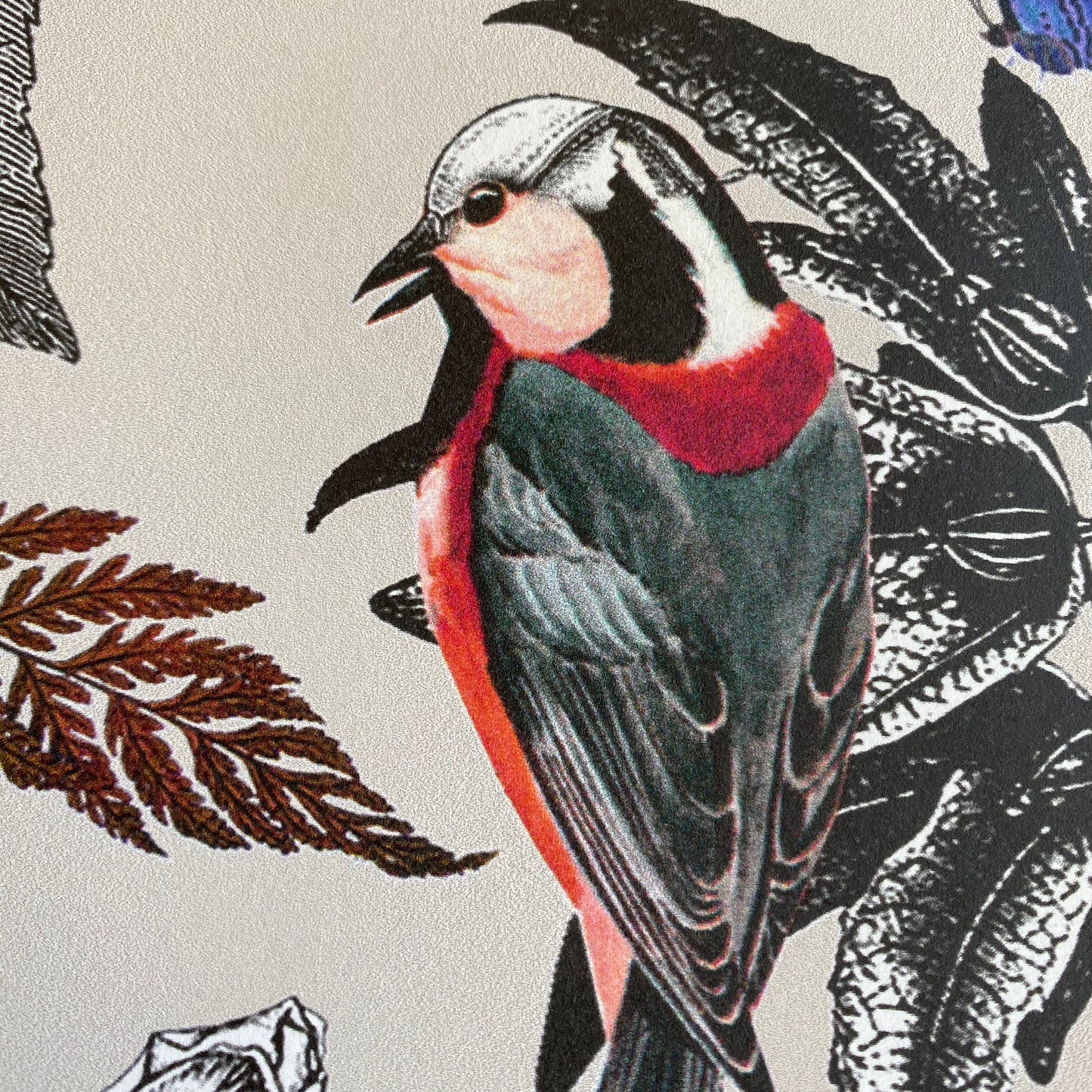 Osborne & Little Wallcovering, “Bird Song”. One roll, 29 1/4 feet x 27 1/2 inches.