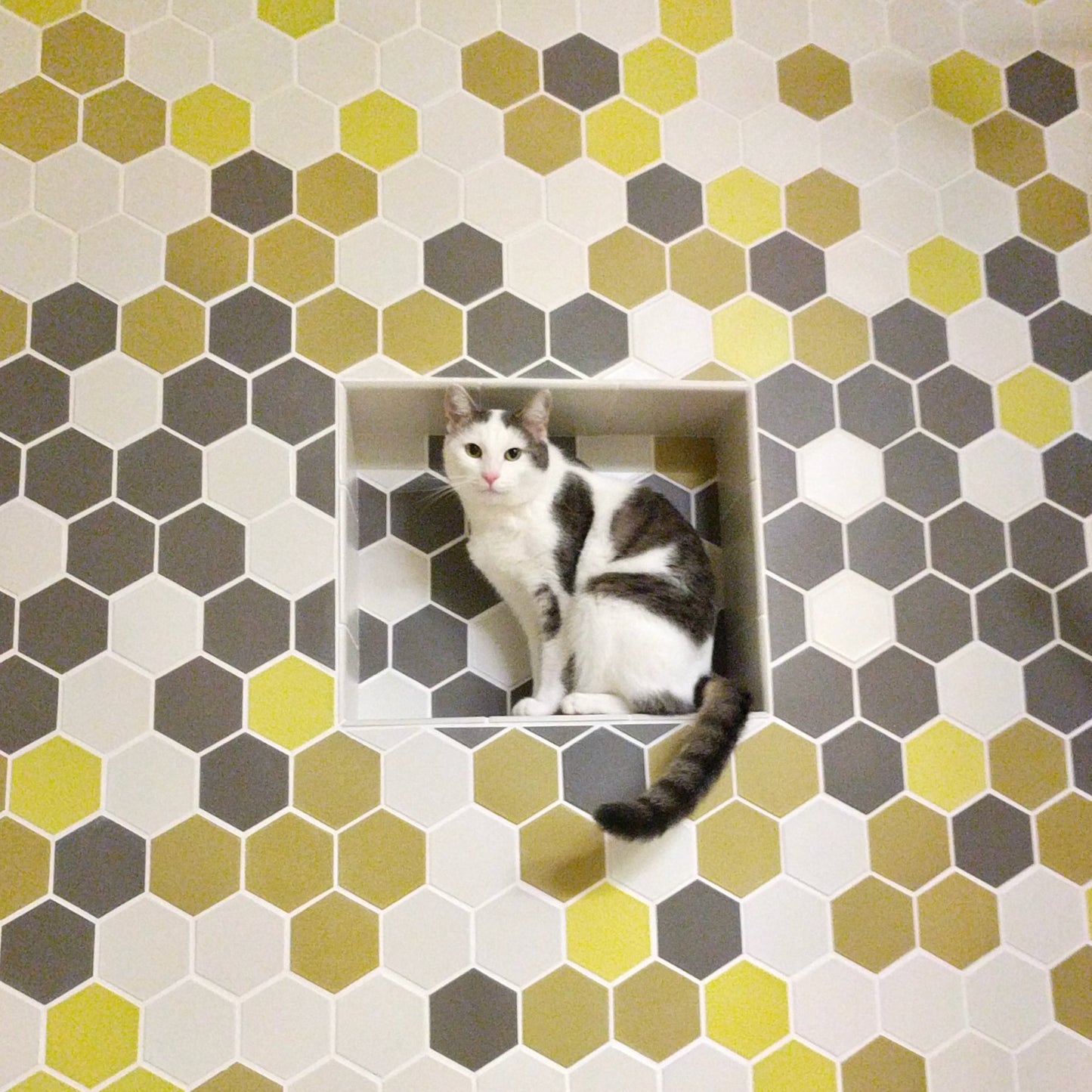 Heath Ceramics | 3.5 in Hex Tile - Parchment