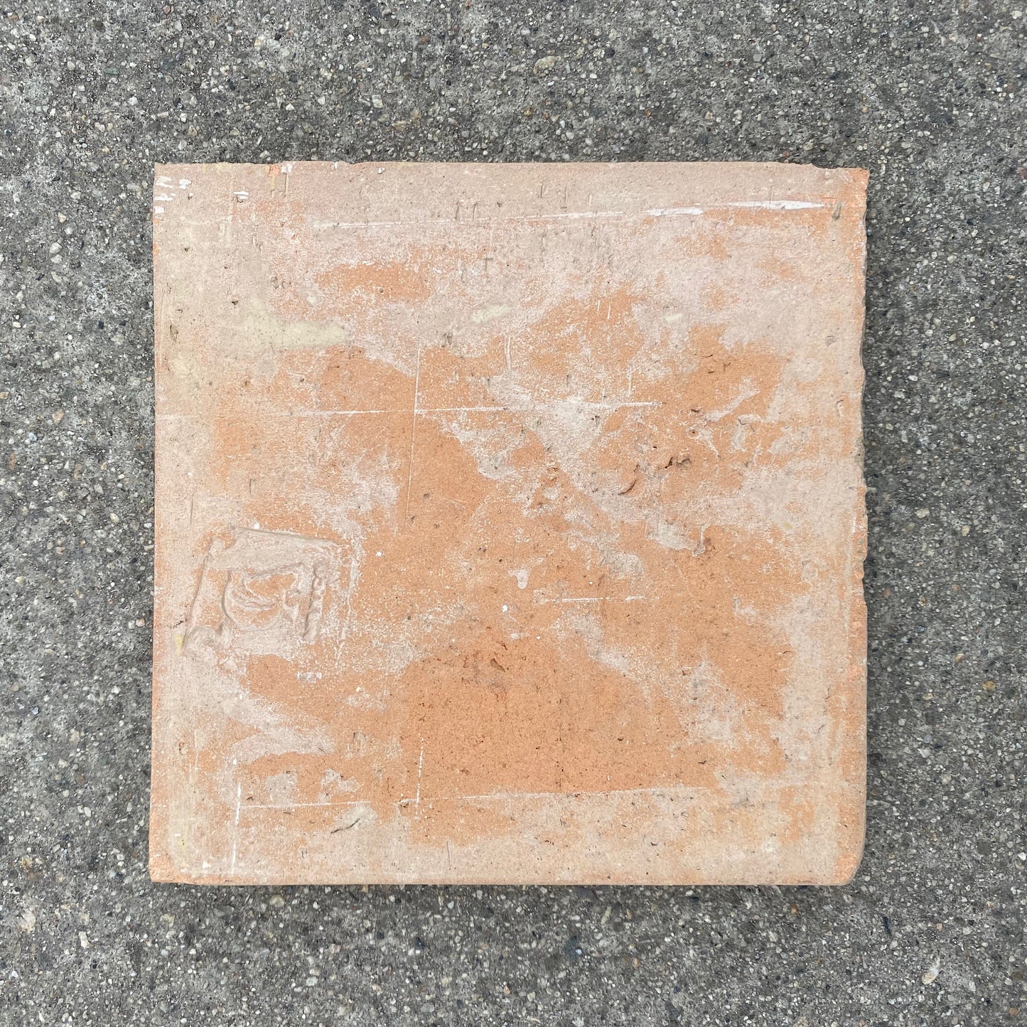 Walker Zanger | Andalucia 6x6 Field Tile - Agave EAN-AGM-FLD-0066 1ANDAGA6