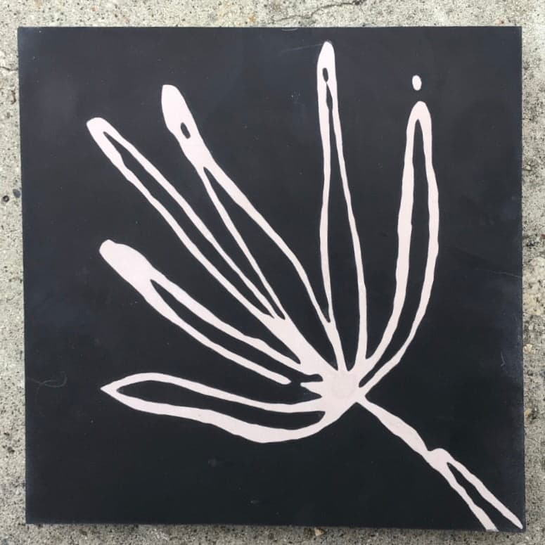 Concrete Collaborative 8x8 Indio Agave wall and floor tile in ebony with lilac accent
