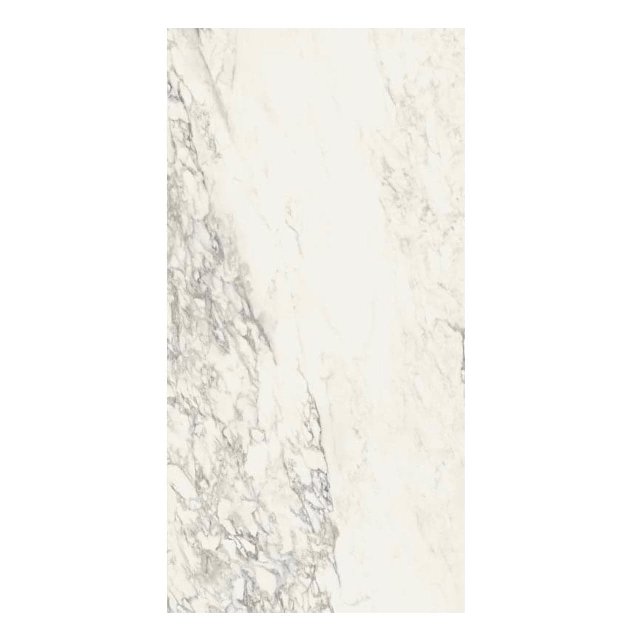 Ceramica Sant'Agostino | Tru Marmi Arabescato 24x48 Polished Tile