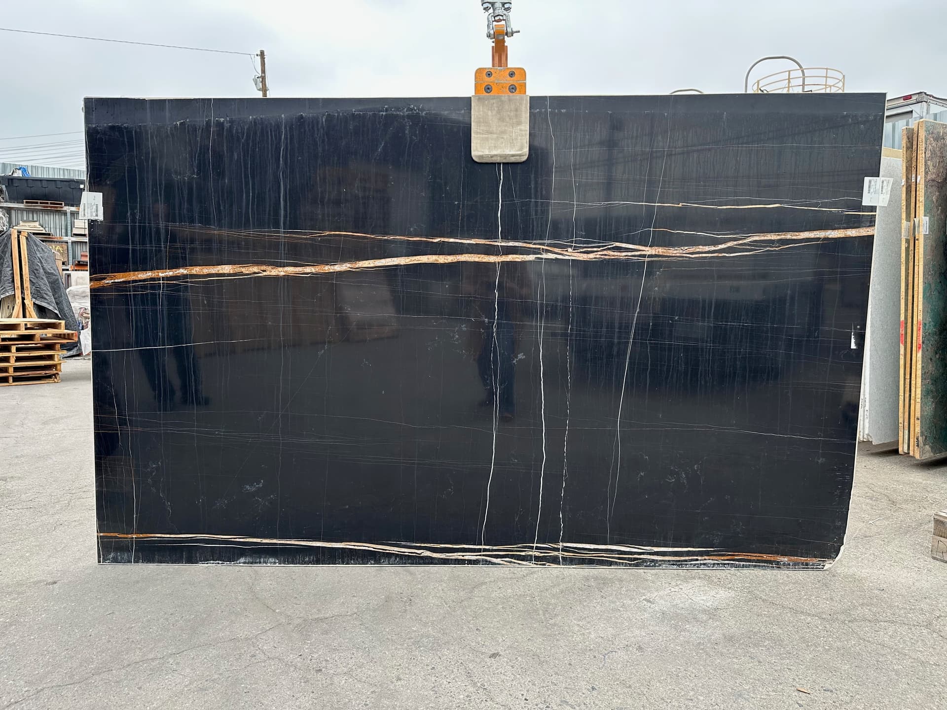 Walker Zanger | Sahara Noir Marble Polished Slab - alternate view