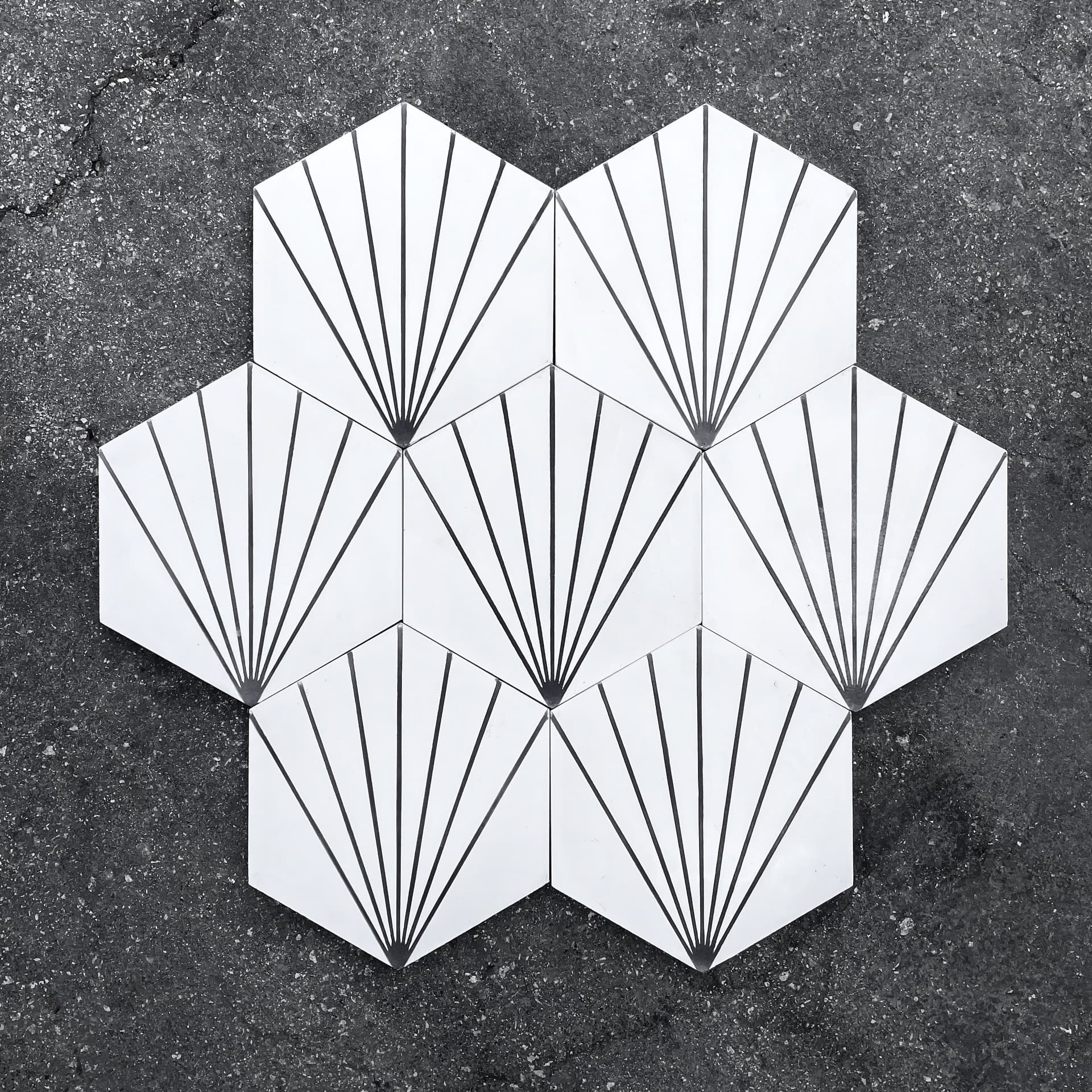 Villa Lagoon Spark C 8" hexagonal tile in black and white morning pattern