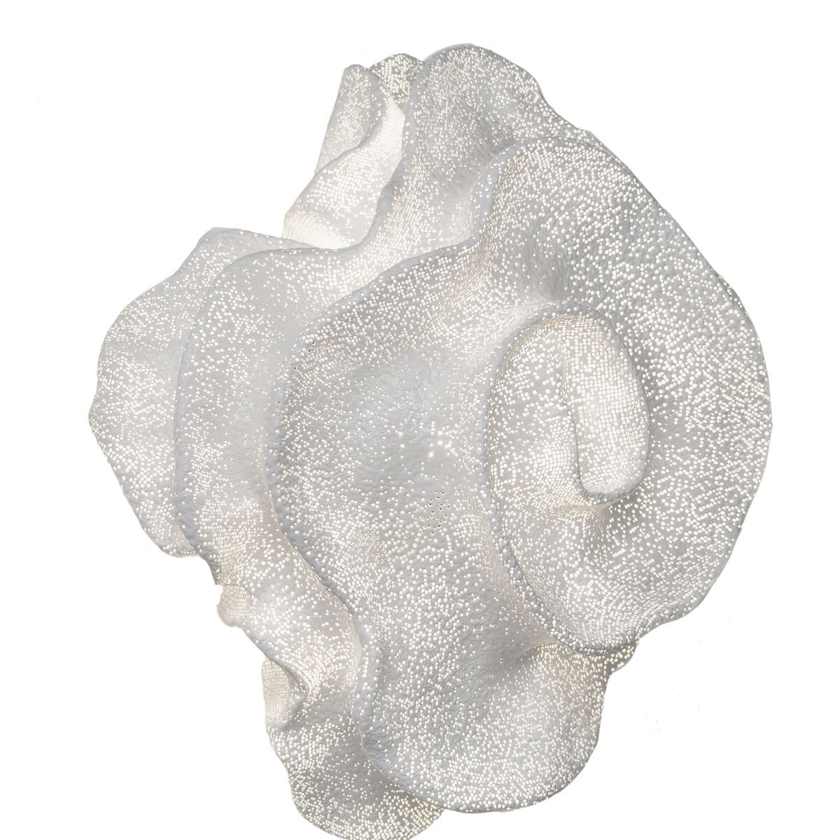 a-emotional light | Nevo Wall Sconce — White, Small, Replaceable Bulb
