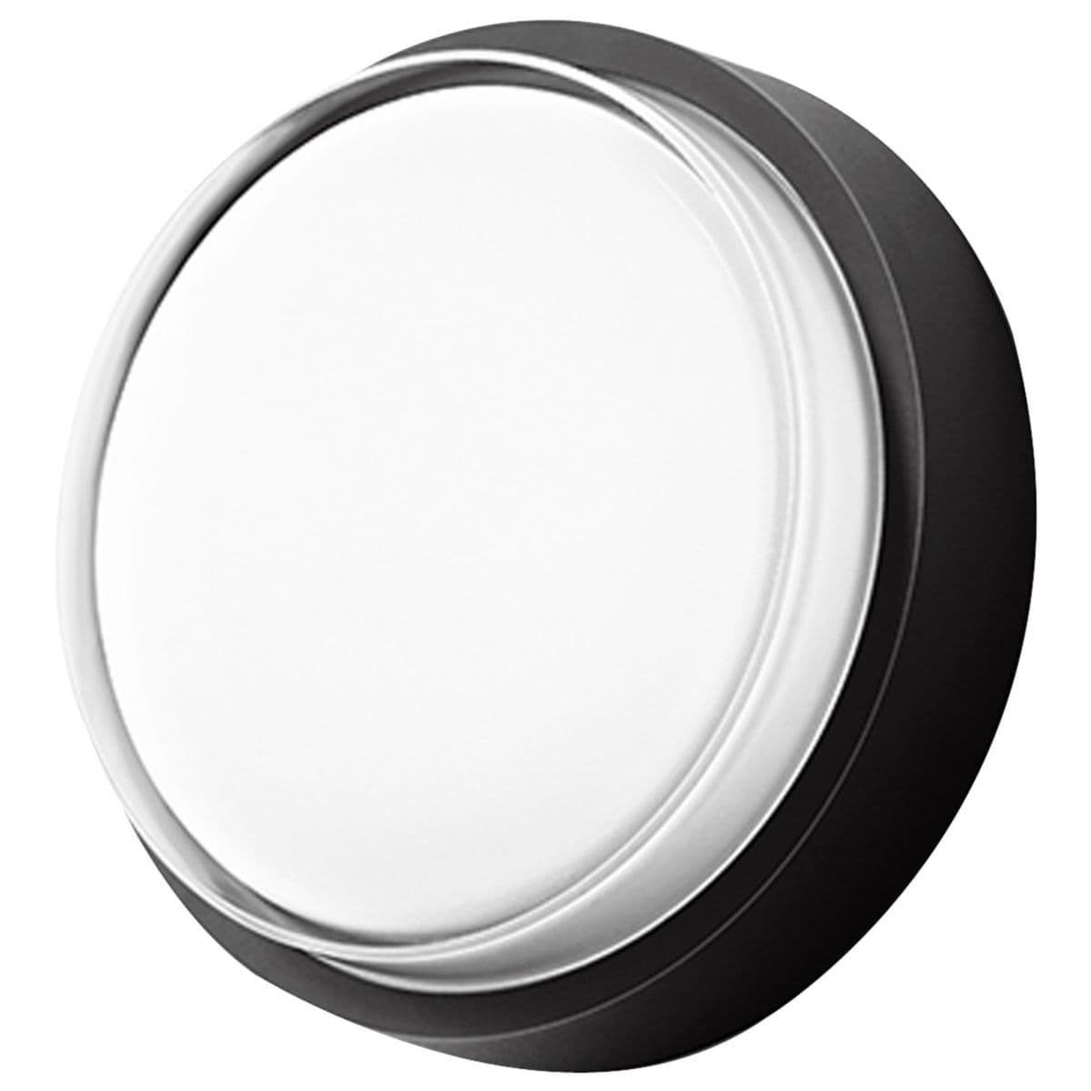 BEGA | Impact Resistant LED Ceiling/Wall Light-3534/3535 — Graphite, Small