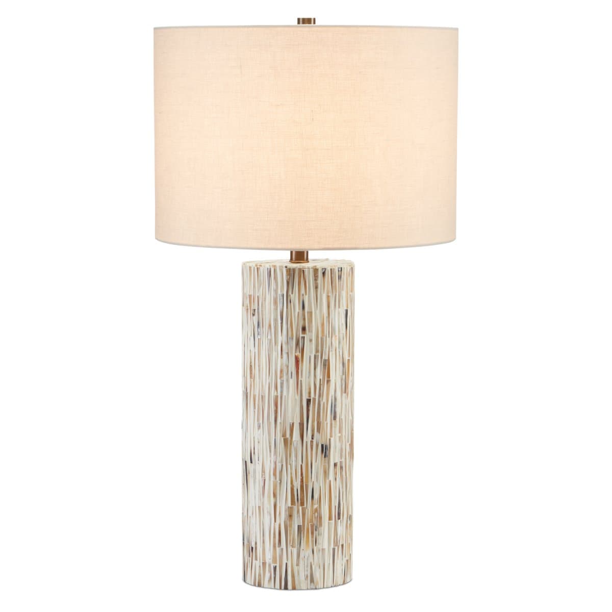 Currey & Company | Aquila Table Lamp — Natural Bone with Antique Brass