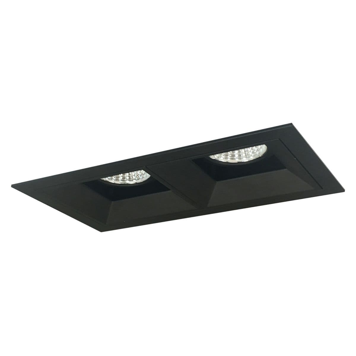 Nora Lighting | Iolite MLS LED Fixed Downlight Two Head Trim Set by Nora Lig — Black, Black