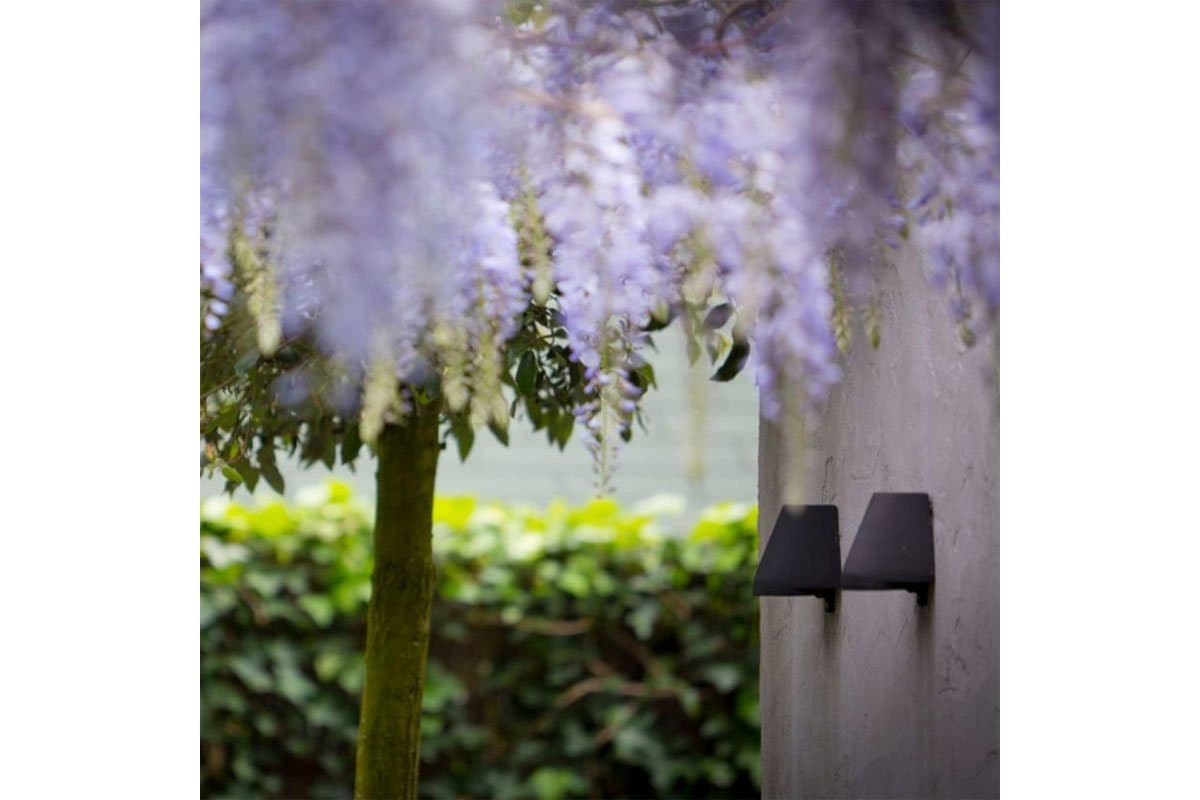 Royal Botania | Beamy Outdoor Wall Sconce — Antique Brass - alternate view