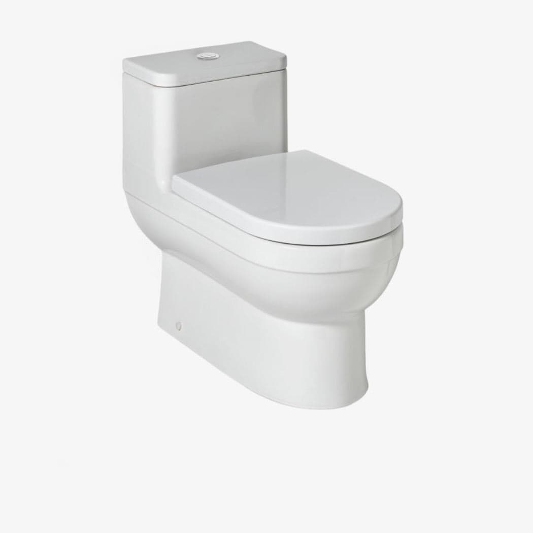 Waterworks Axel One Piece Dual Flush Watercloset