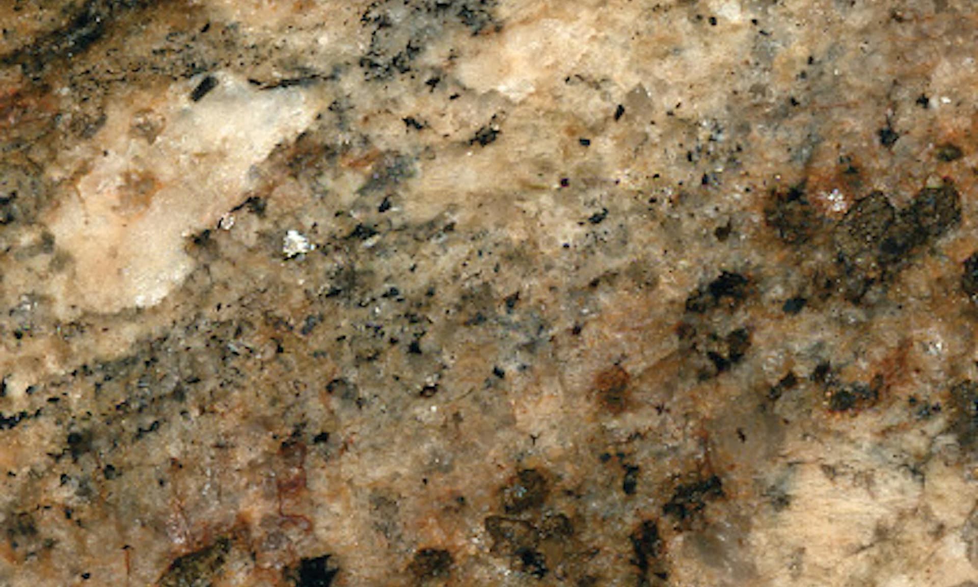 Scalea Lapidus Outlet Slab
