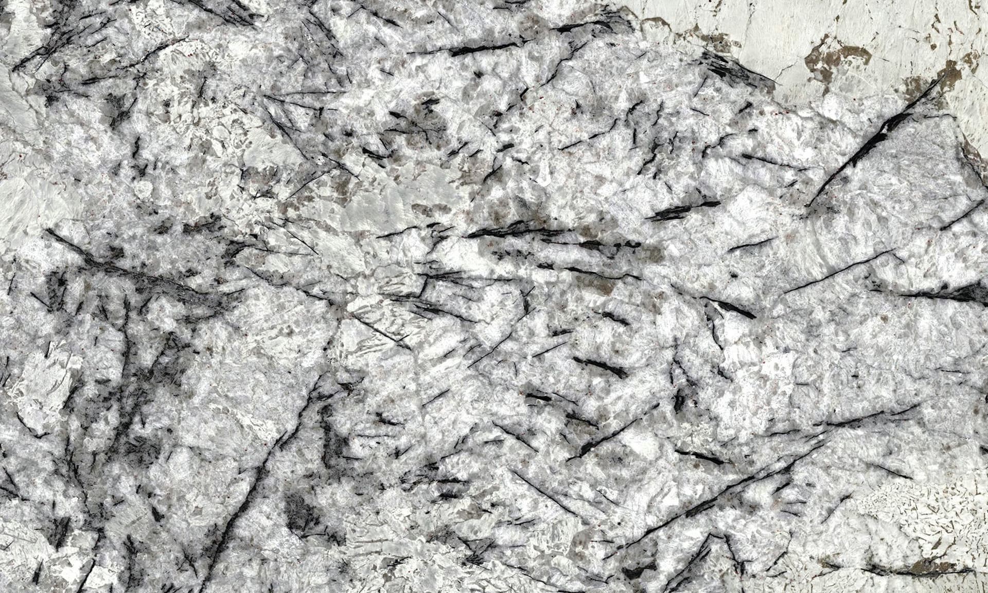 Sensa Delicatus Ice19 Mir
