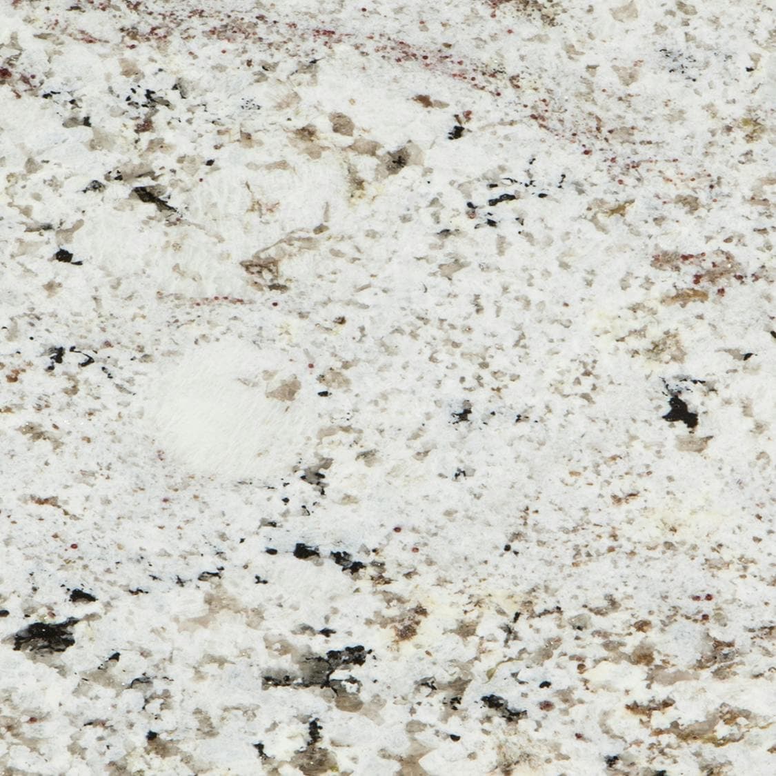 Scalea Blanco Gabriele Outlet Slab - alternate view