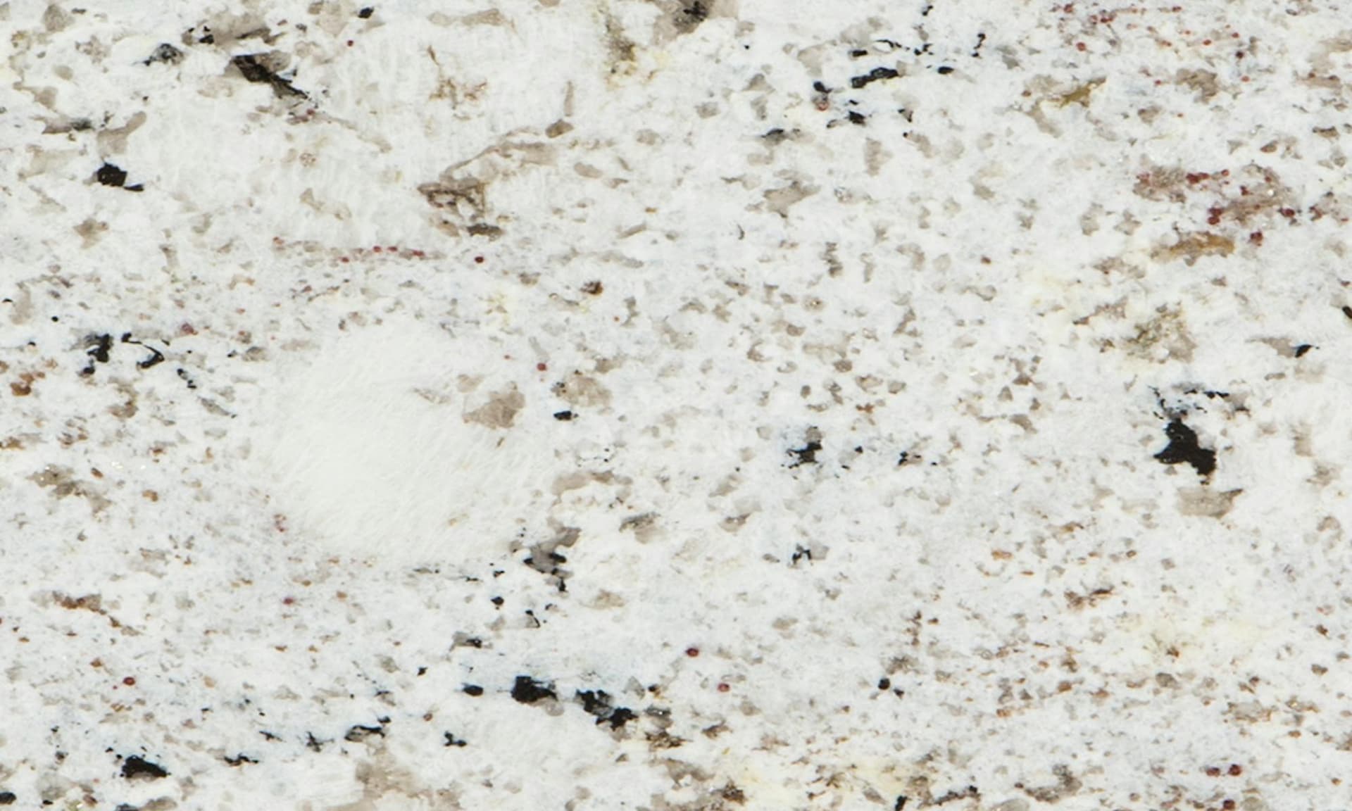 Blanco Classico | Scalea Natural Stone Slab 1.2 in Cosentino