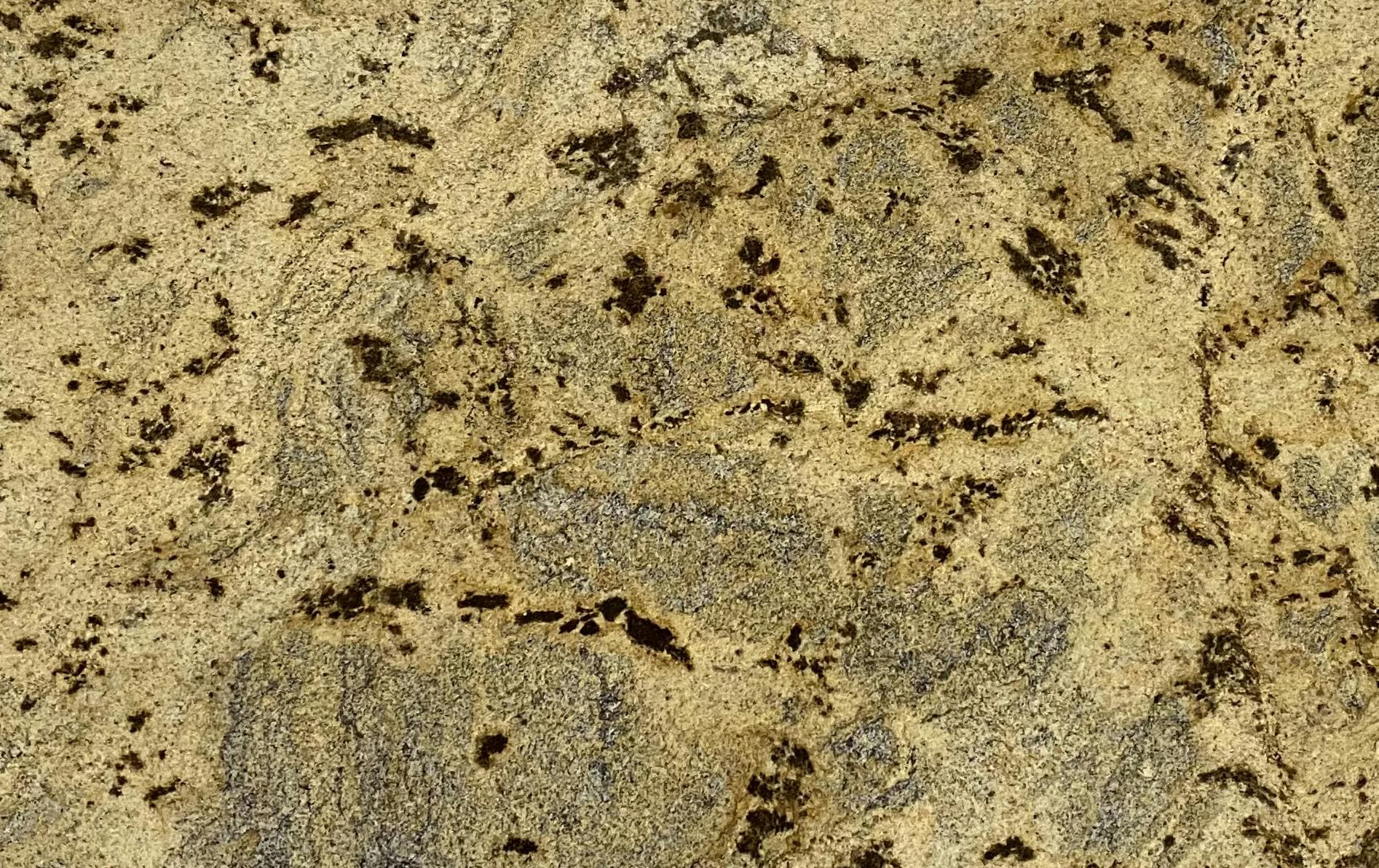 Scalea IBERIAN GOLD Pul - alternate view