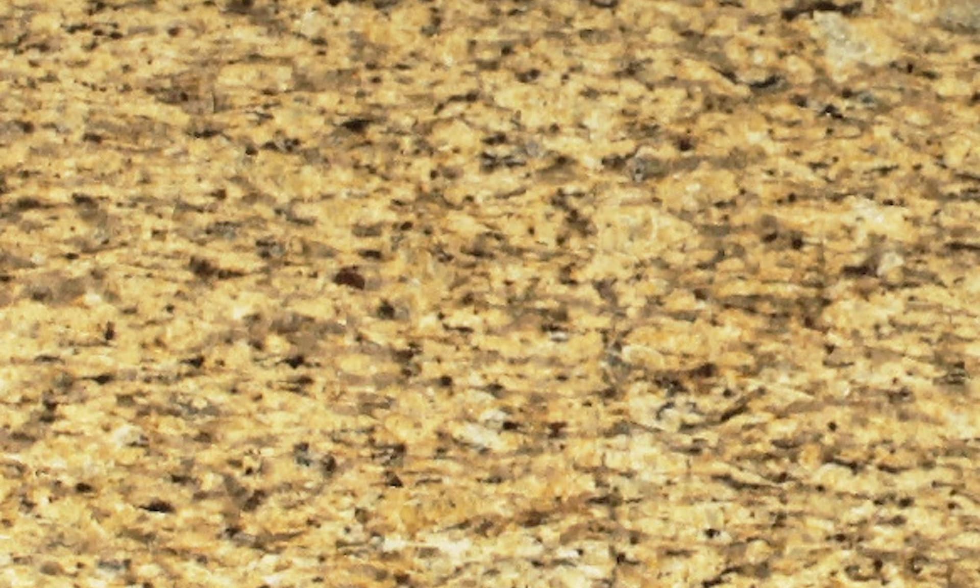 Tanami | Sensa Sealed Stone Slab 0.8 in Cosentino