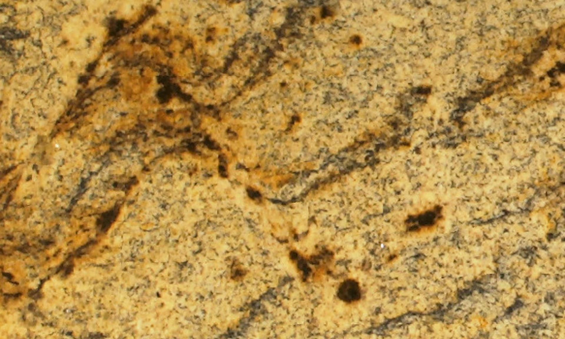 Scalea LAPIDUS GOLD Pul