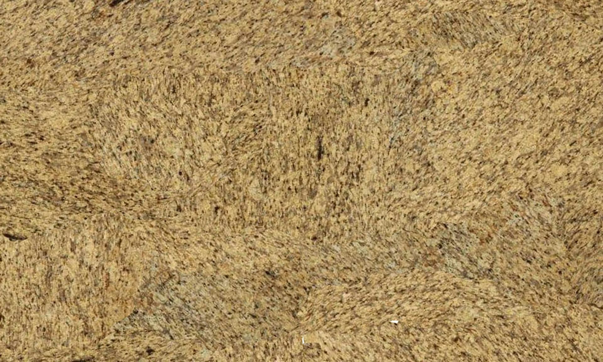 Scalea Ornamental Dark Outlet Slab