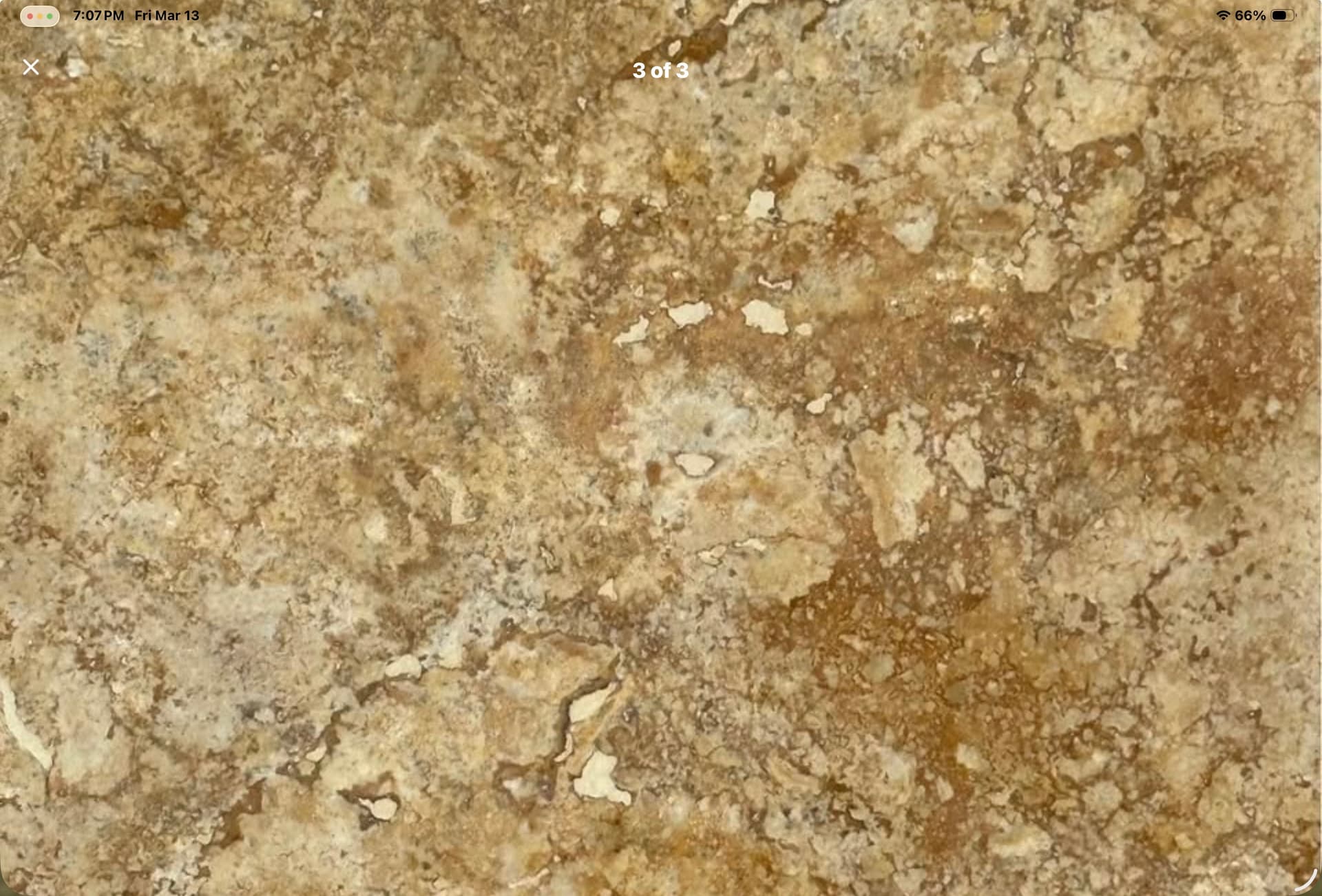 Natural Gold Travertine Tile, 12" x 12"