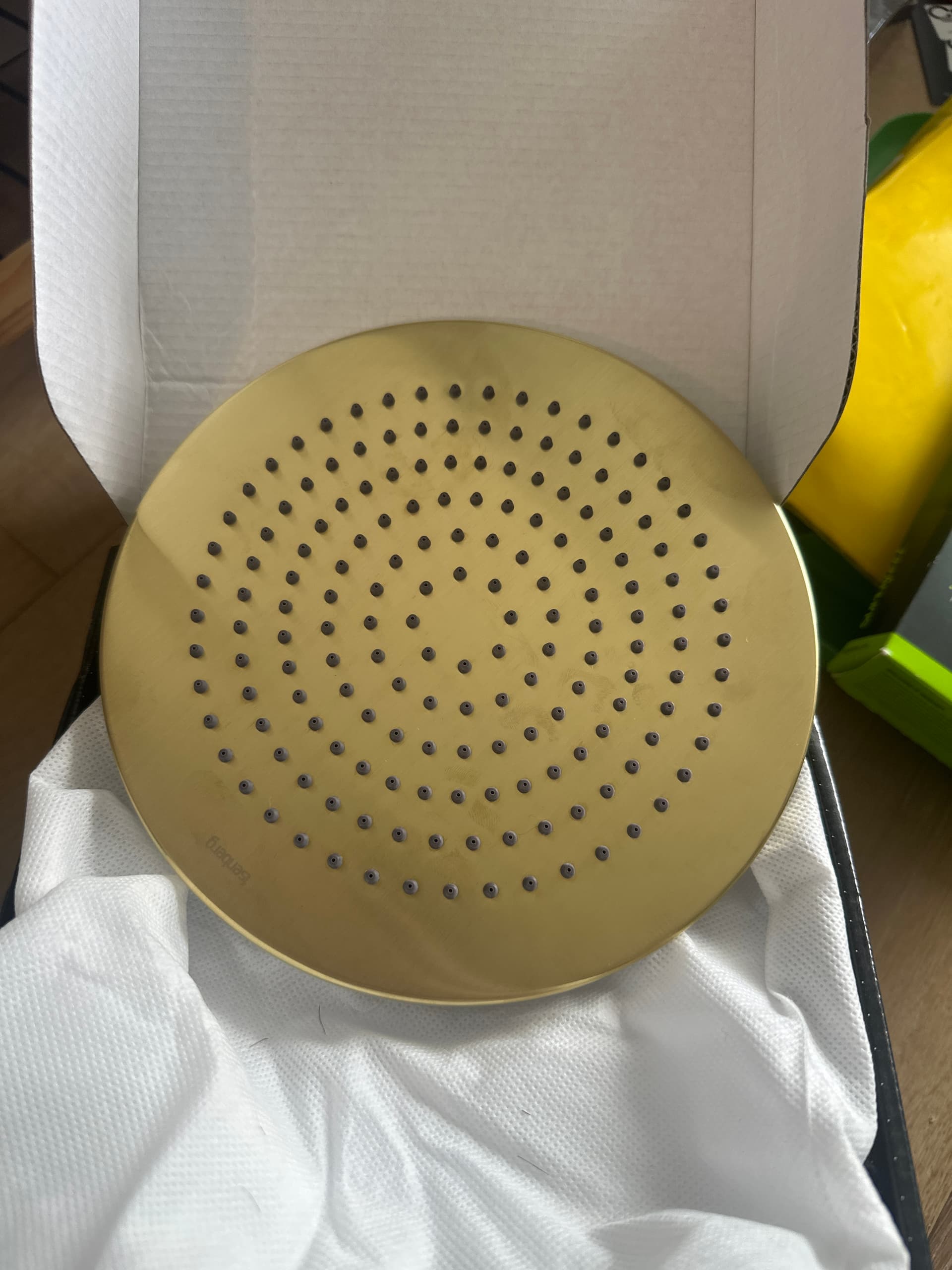Isenberg 8” satin brass shower head