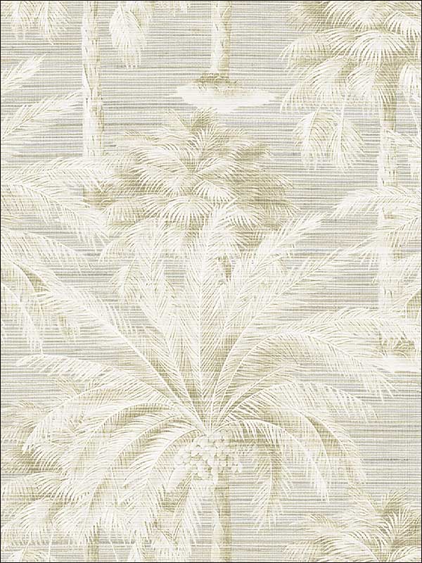 Kenneth James PS40005 Dream Of Palm Trees Texture Sand Wallpaper