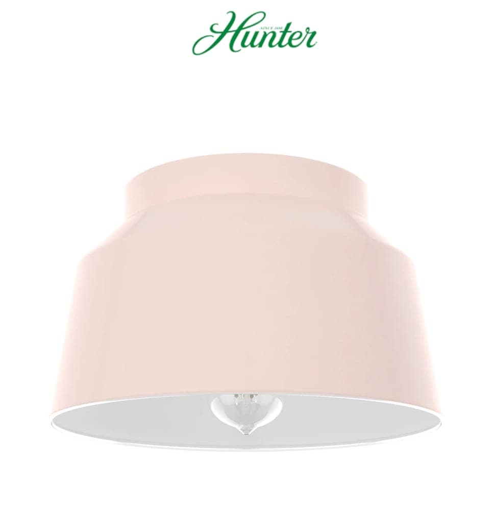 Hunter Fans Hunter Cranbrook 12" Wide Flush Mount Ceiling Fixture