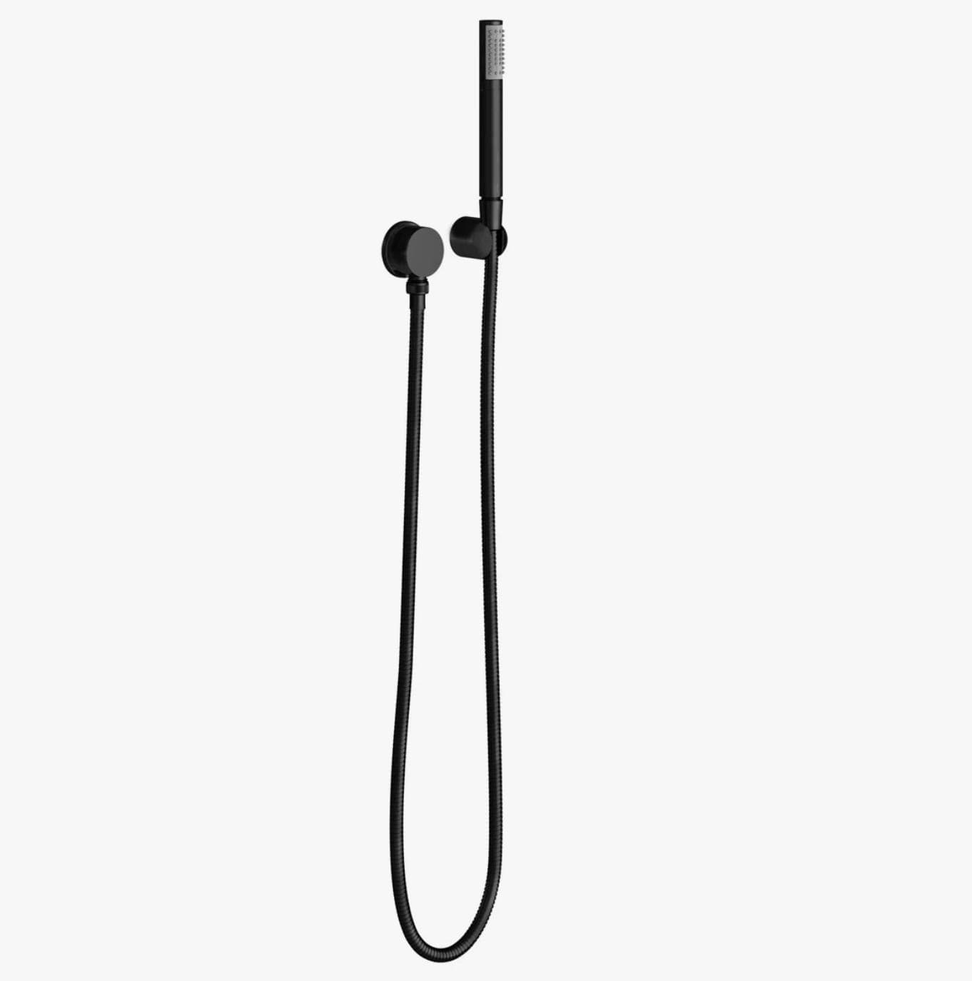 Pfister Hand held shower kit