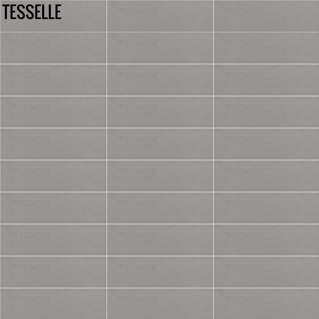 Tesselle | Hudson Starling 10"x3" Cement Wall Tile