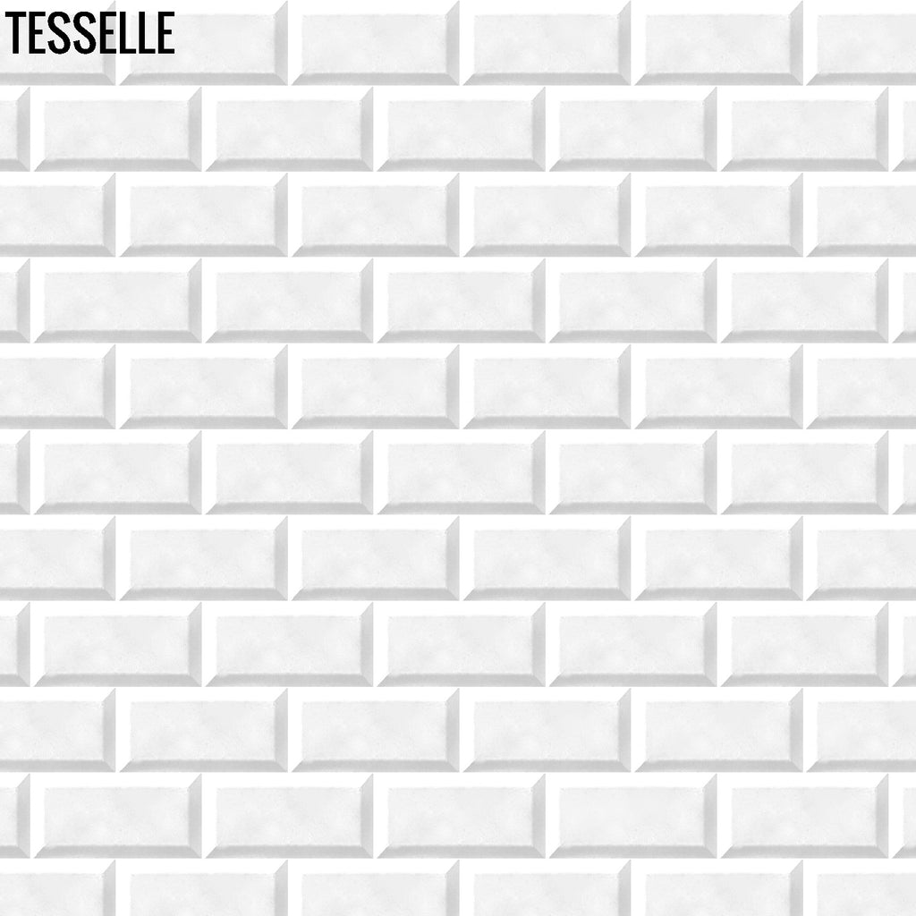 Tesselle | Sonia White 6"x3" Beveled Cement Wall Tile