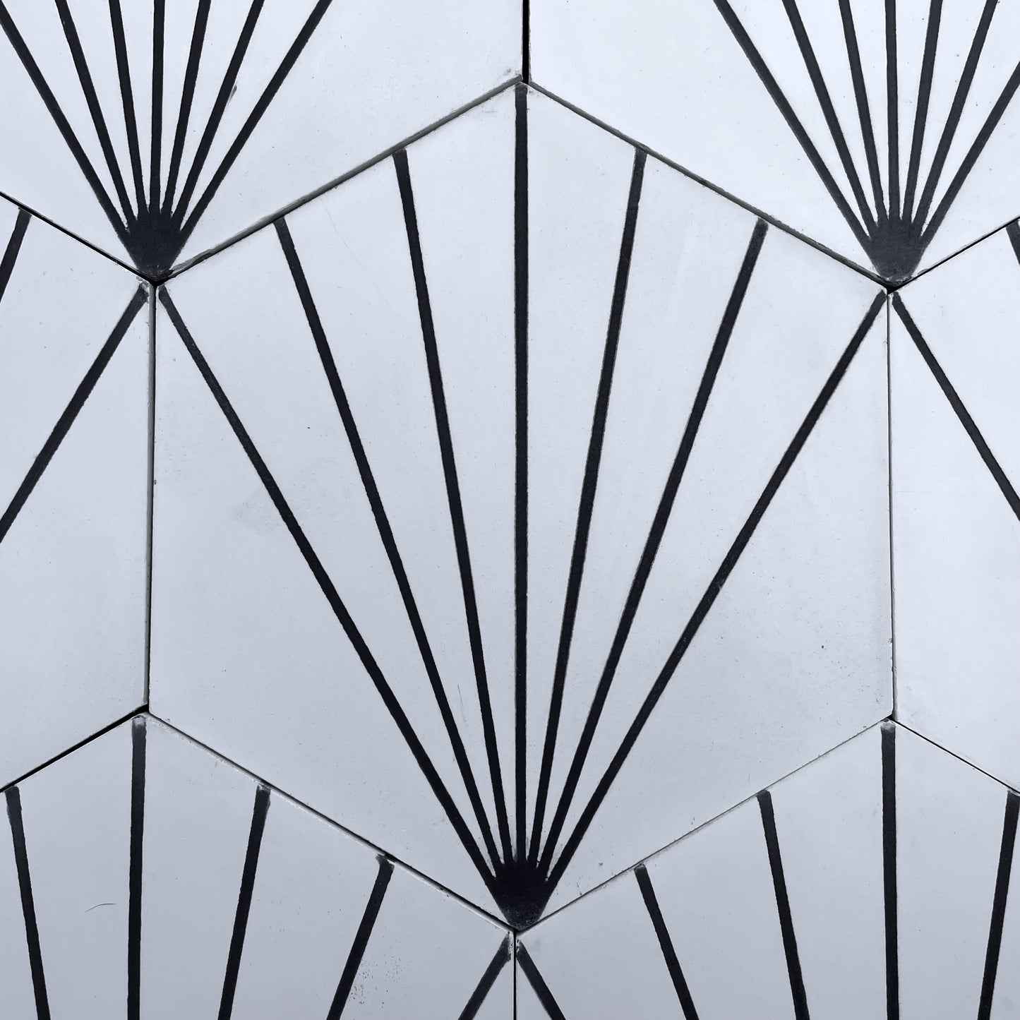 Villa Lagoon Tile | Spark C 8" Hex Tile in Black And White Morning