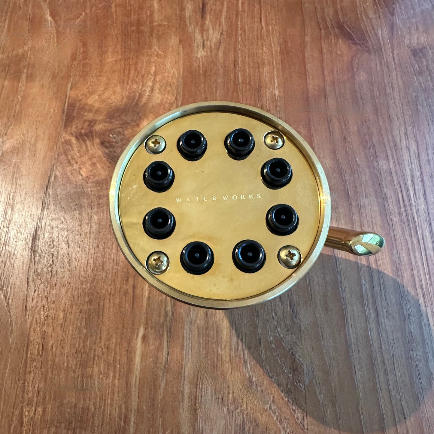 Waterworks | Universal Transitional 3 1/2" Showerhead with Adjustable Spray in Brass