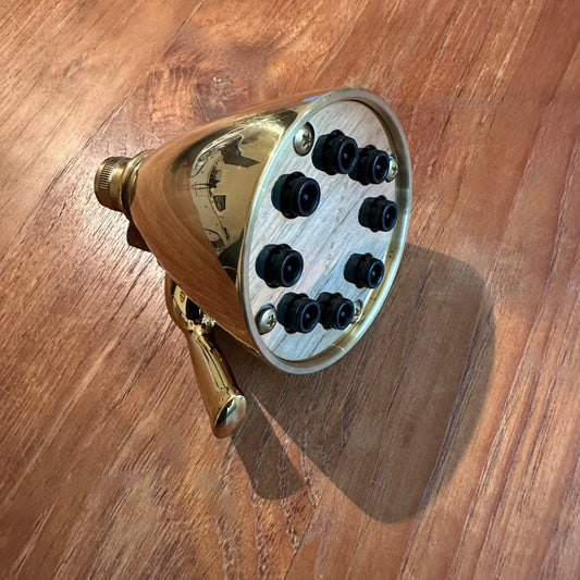 Waterworks | Universal Transitional 3 1/2" Showerhead with Adjustable Spray in Brass