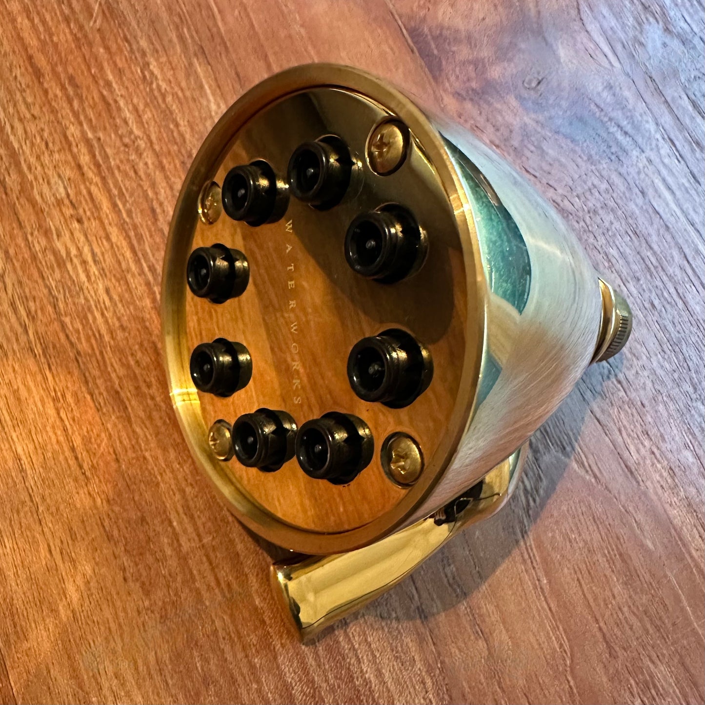 Waterworks | Universal Transitional 3 1/2" Showerhead with Adjustable Spray in Brass