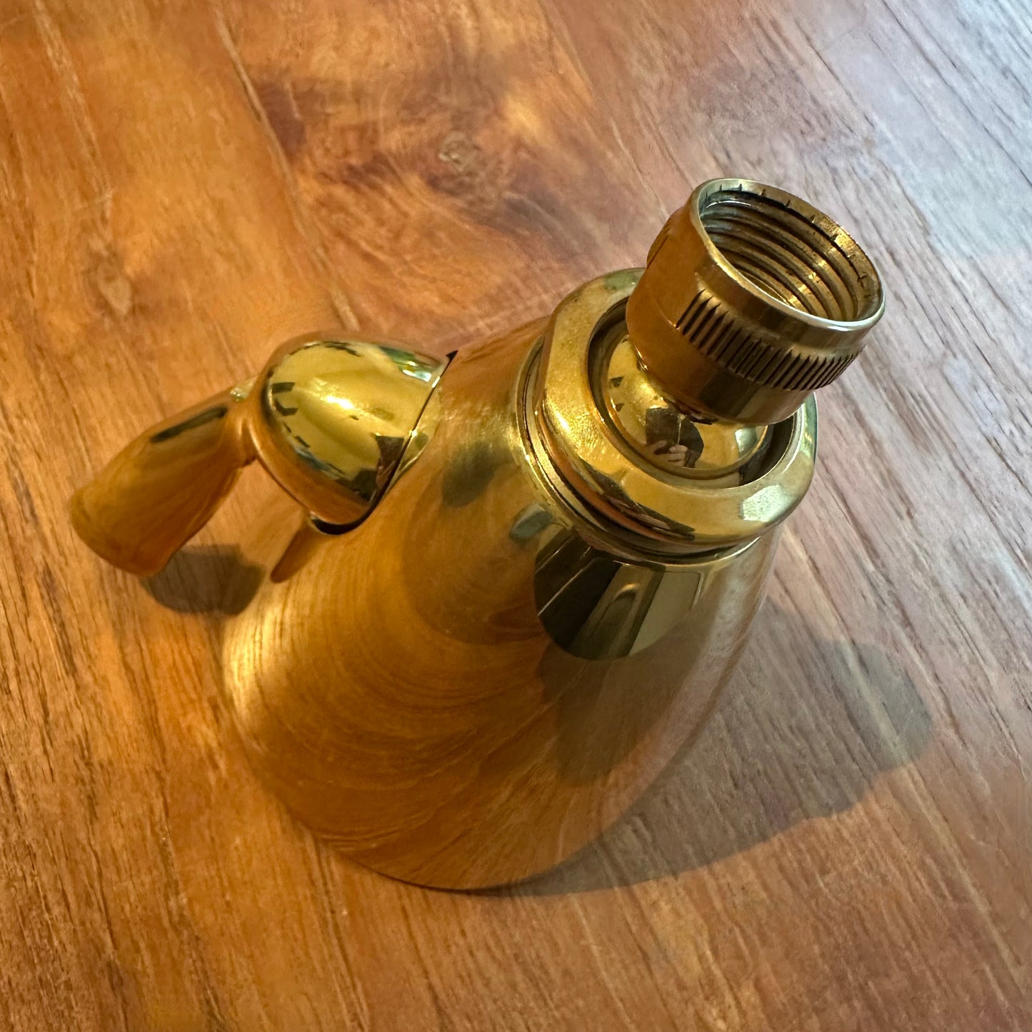 Waterworks | Universal Transitional 3 1/2" Showerhead with Adjustable Spray in Brass