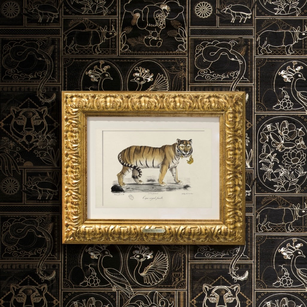 Memento Moooi Wallcovering | MO4040 Golden Tiger in Ebony