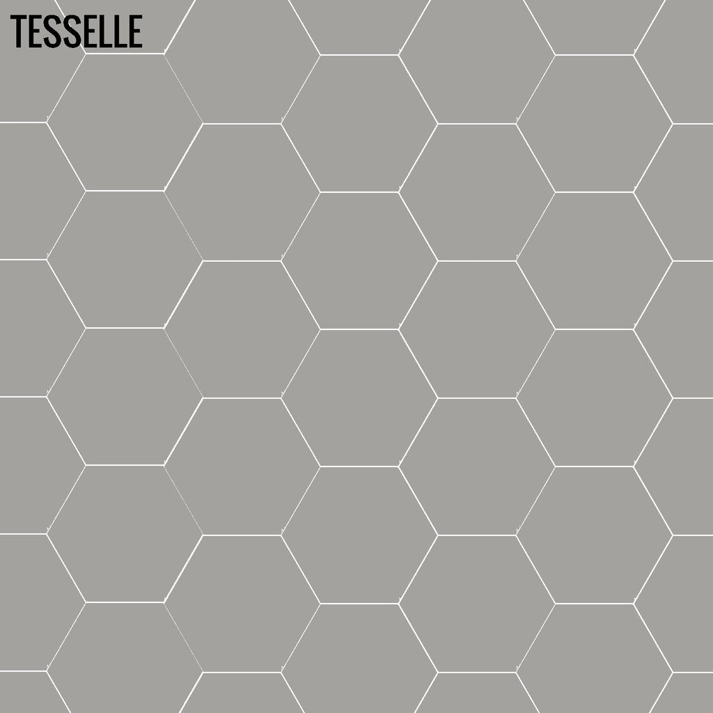 Tesselle | Concord Starling 7"x6" Hexagonal Cement Wall Tile