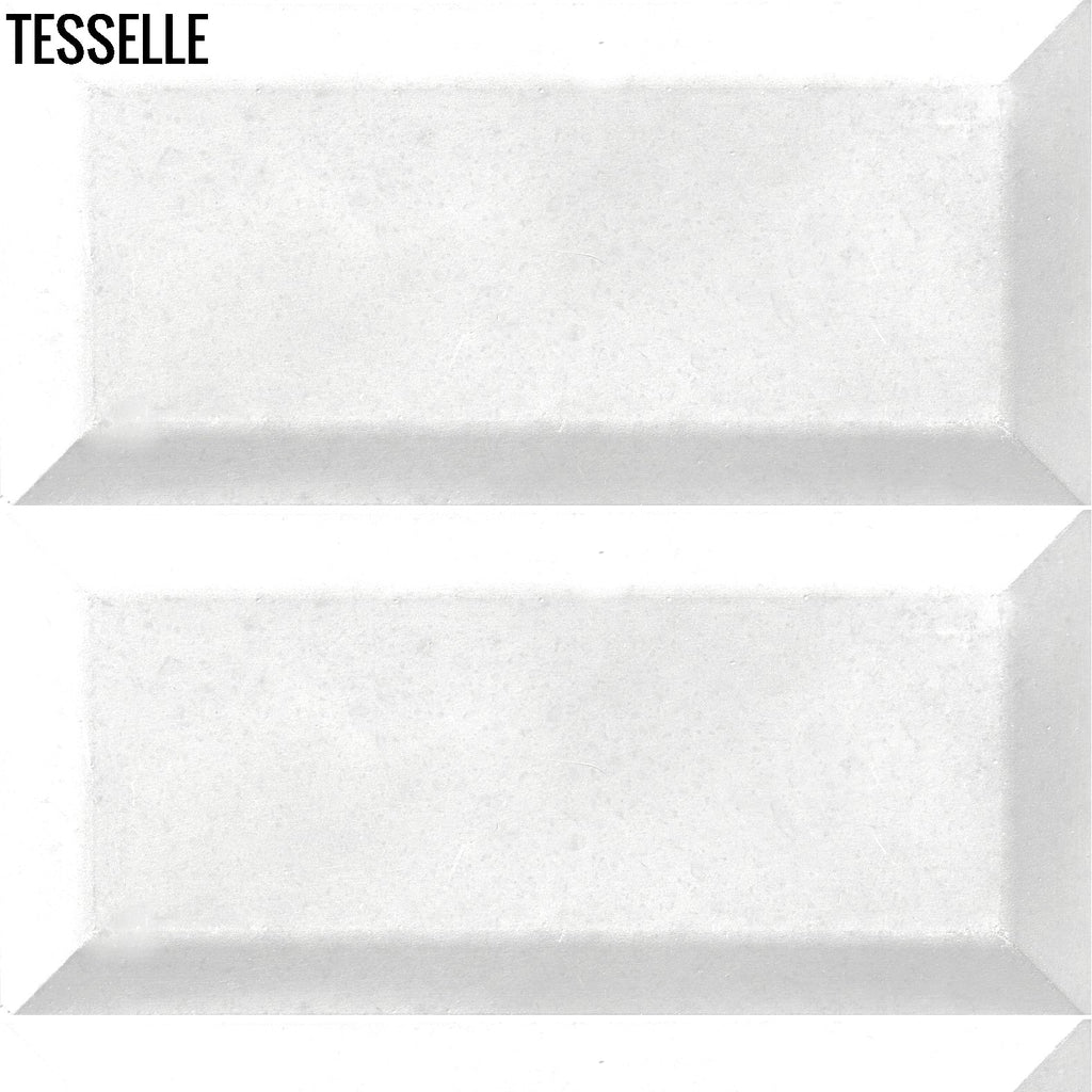 Tesselle | Sonia White 6"x3" Beveled Cement Wall Tile