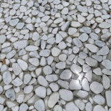 Artistic Tile | Riverstone Bianco Carrara Field Tile Polished 24x 24 x.5 In